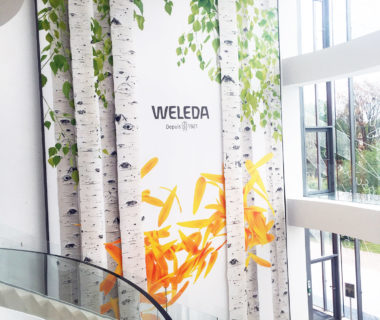 Photo de la première pose chez Weleda vu d'en haut Toile adhésive