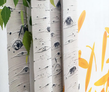Zoom sur les arbres du visuel chez Weleda Toile adhésive