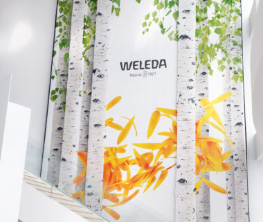 Photo de la première pose chez Weleda Toile adhésive