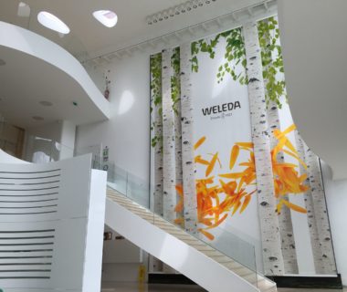 Photo du mur chez Weleda à la deuxième pose vue du bas Toile adhésive