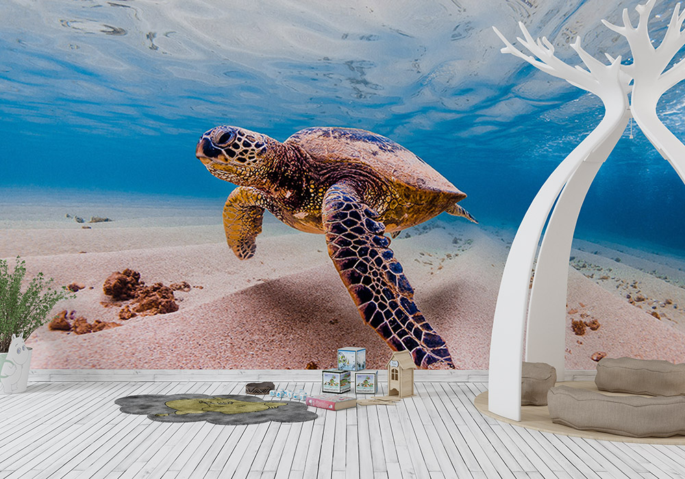 Toile adhésive repositionnable éco-conçue et recyclable : Animaux Tortue