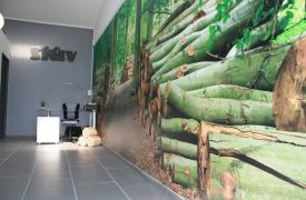 Visuel forêt avec des bois coupé STUV Toile adhésive